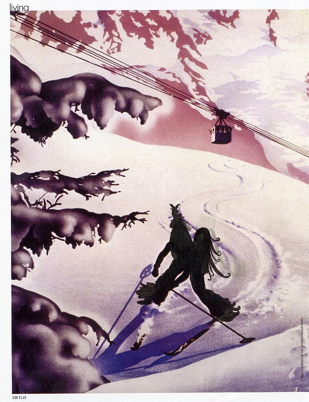 Skifahrer_2009