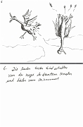 6_Die_beeden_Enten