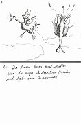 7_Die_beeden_Enten