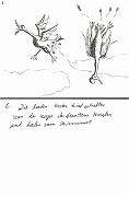 7_Die_beeden_Enten